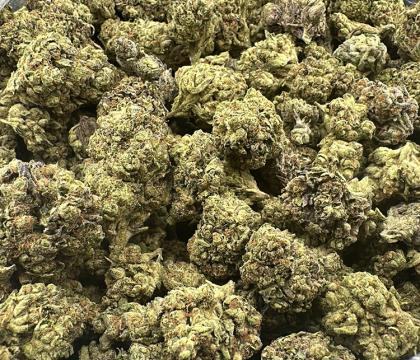 Wedding Cake Hybrid Light Dep