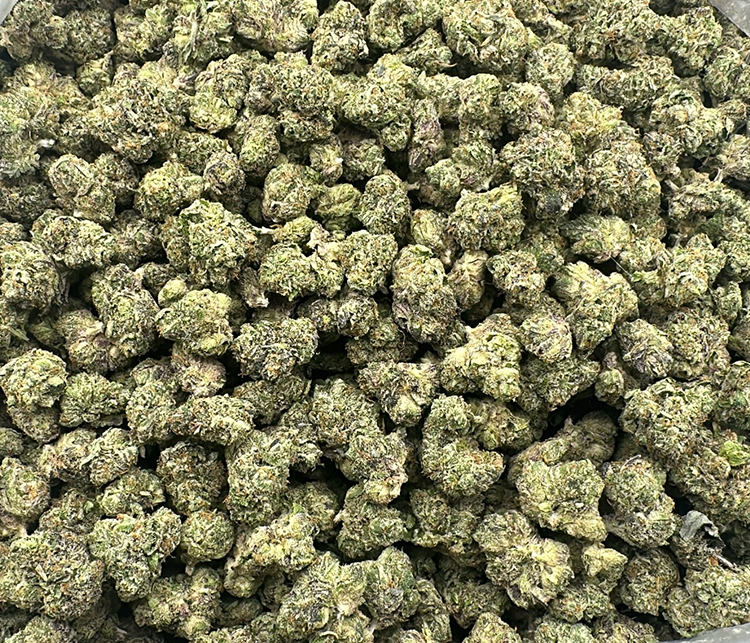 Shake Midgrade Hybrid